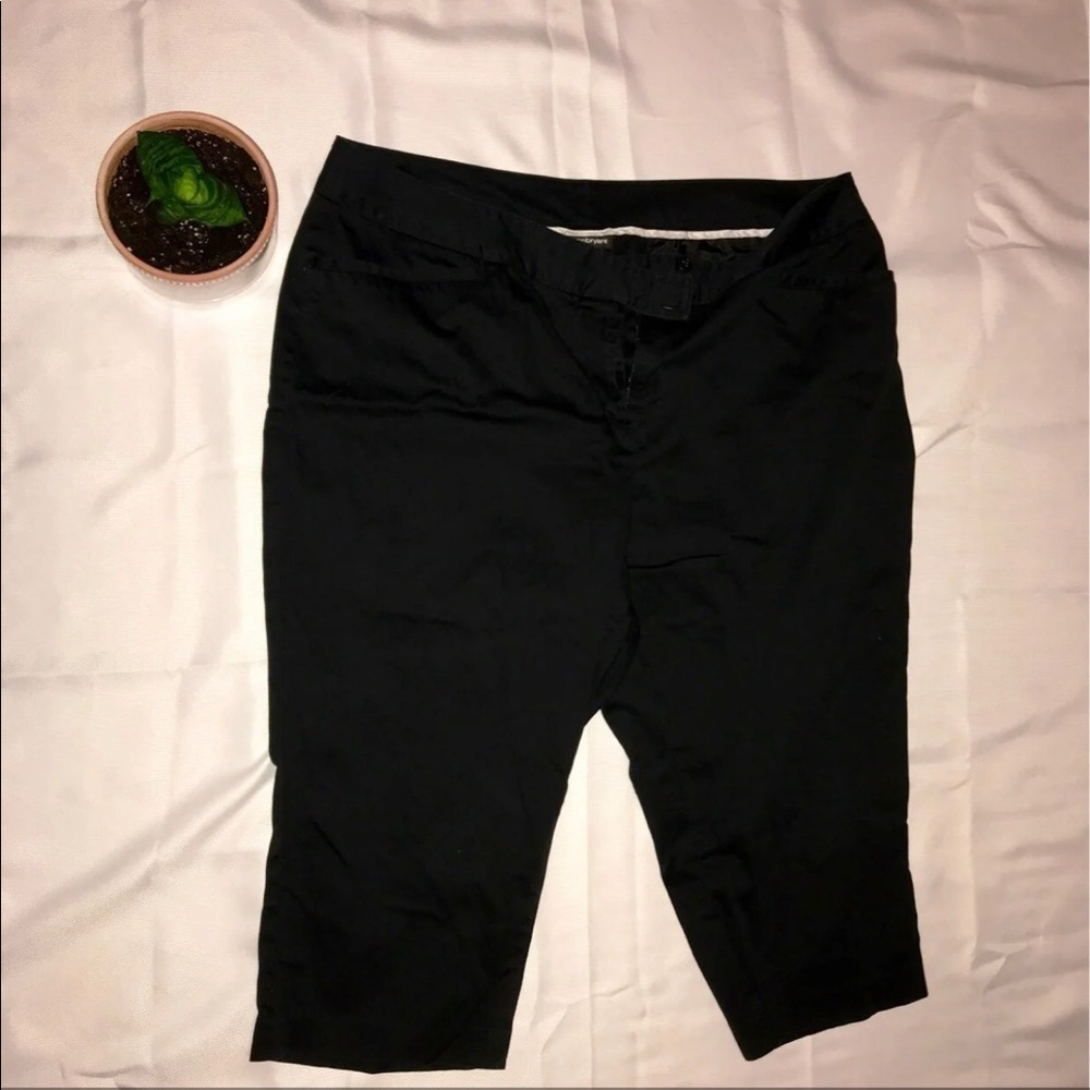Lane Bryant plus size